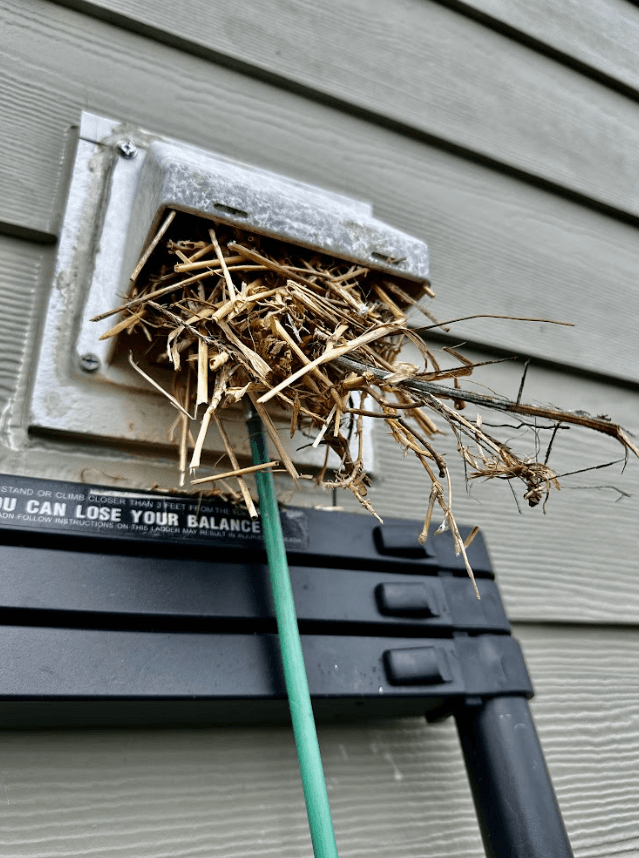 Bird nest removal from dryer vent in Clovis, CA
