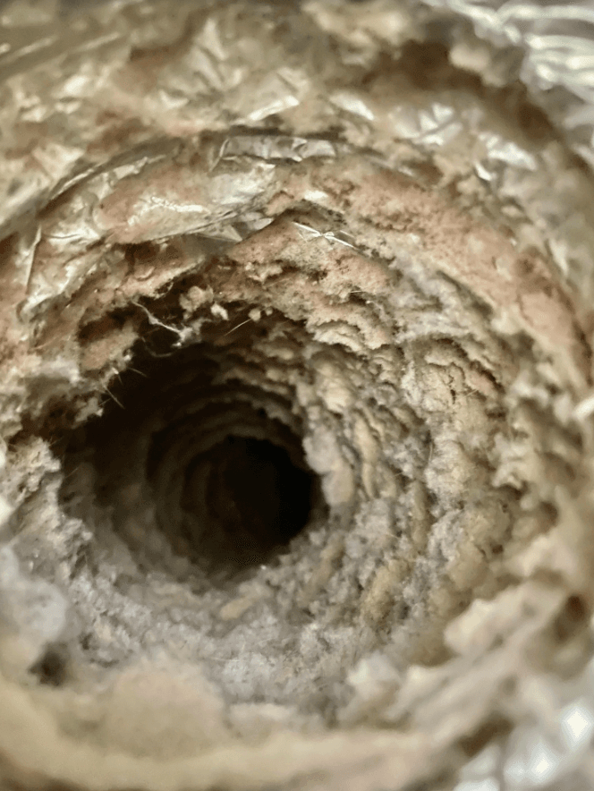 Galvanized dryer vent pipe with heavy lint buildup in attic