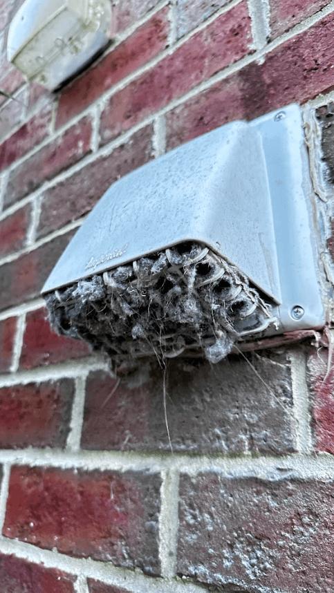 Clogged dryer vent termination in Clovis