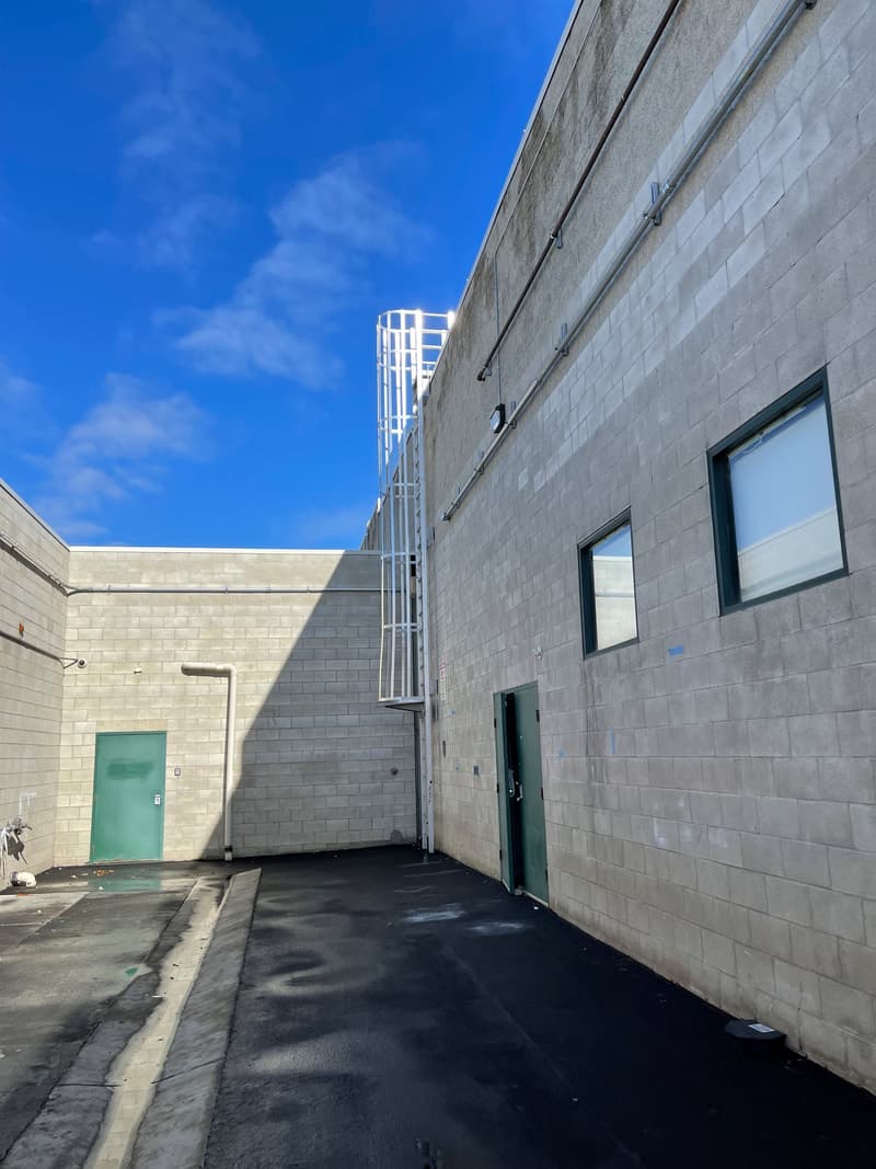 Lint collected in bucket after dryer vent cleaning