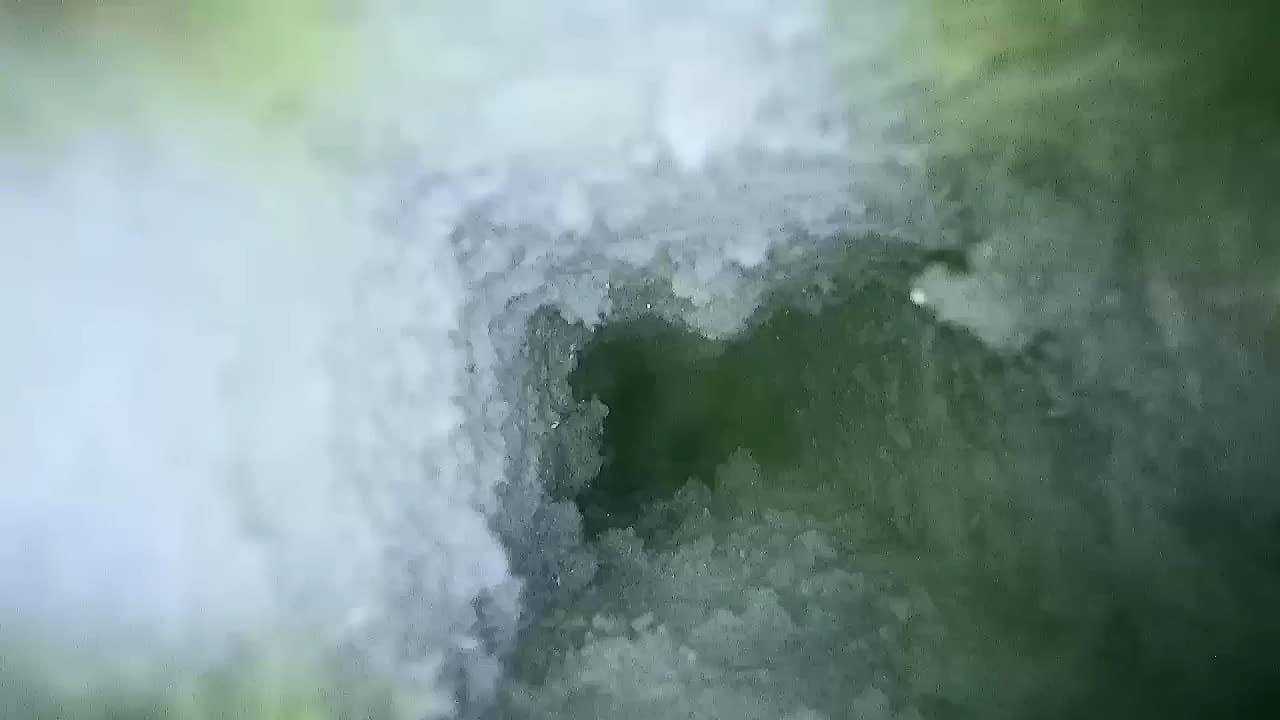 Dryer vent service